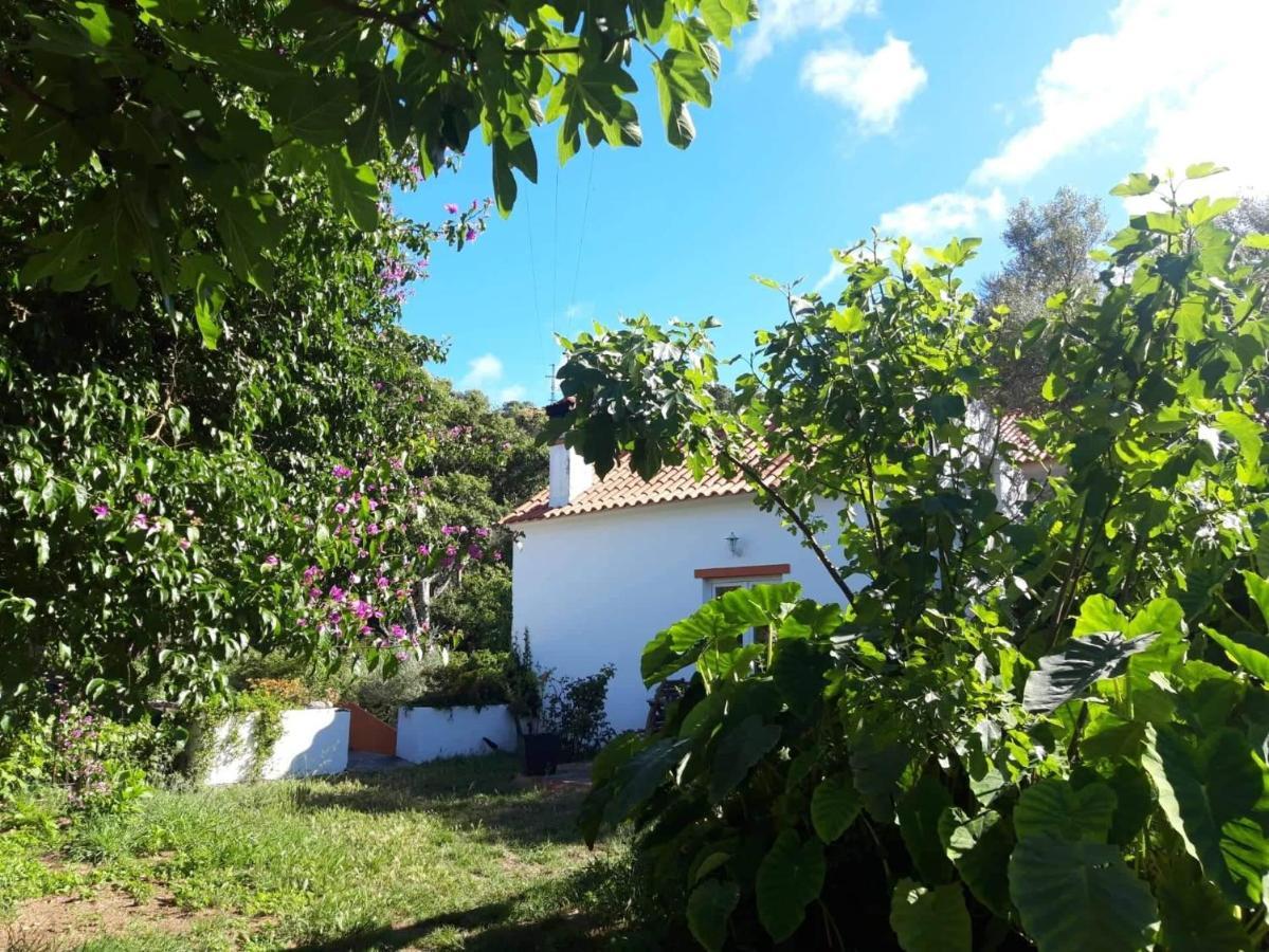 Quinta Algarve Das Relvinhas Monchique Exterior foto